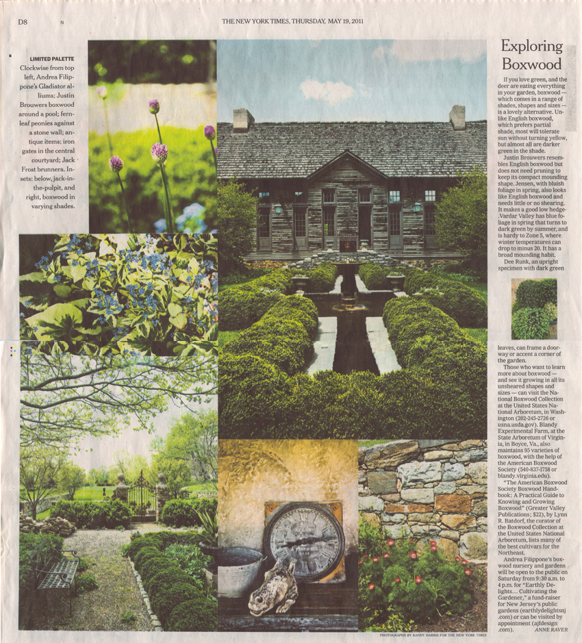 New York Times Earthly Delights 3